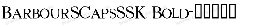 BarbourSCapsSSK Bold字体转换
